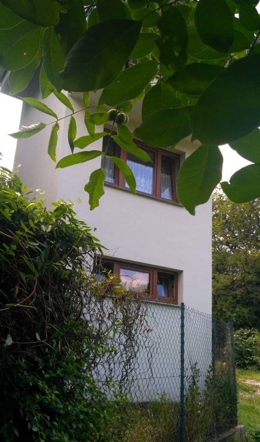 Domek mezi listím a keři